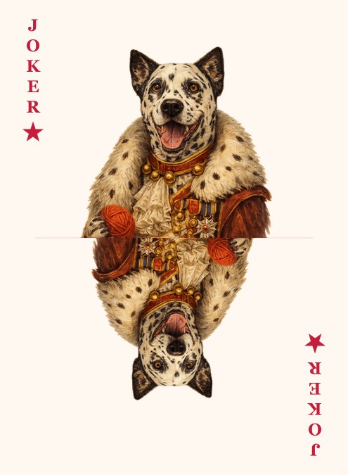 Pet Aristocratic Joker thumbnail